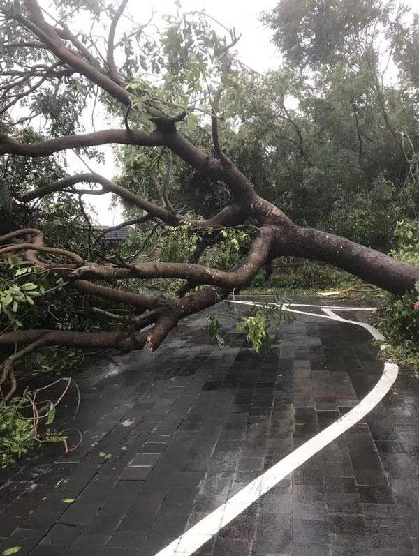 臺風“劍魚”來襲，海南多地遭遇強風暴雨，居民緊急避險